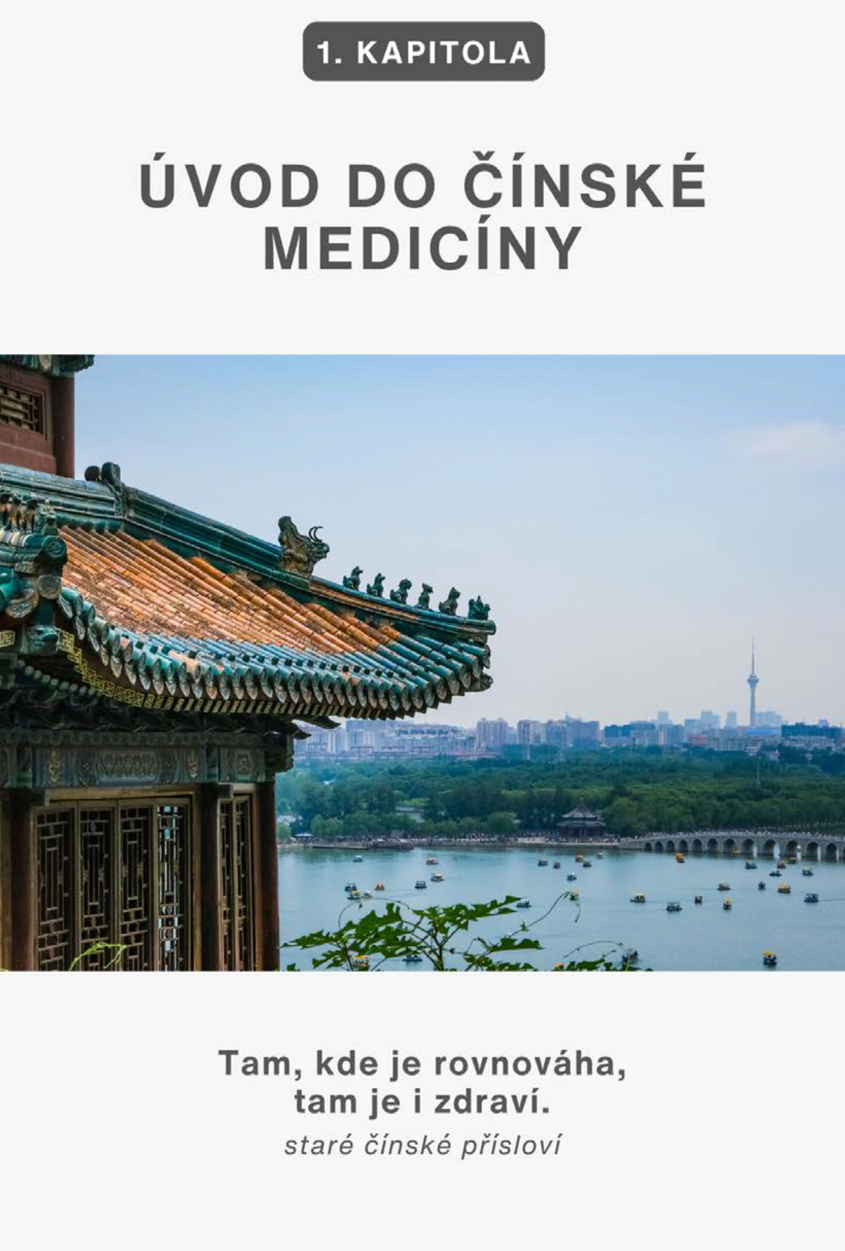 ebook Tradičná čínska medicína pre moderný život - 208 strán