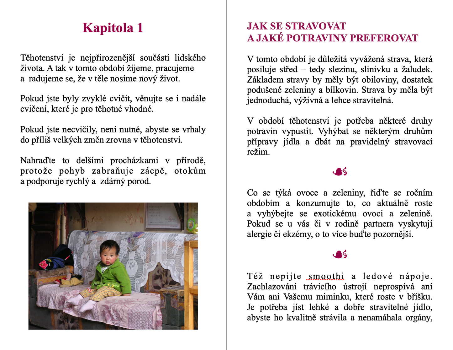 eBook - Jedlo ako liek v čase tehotenstva
