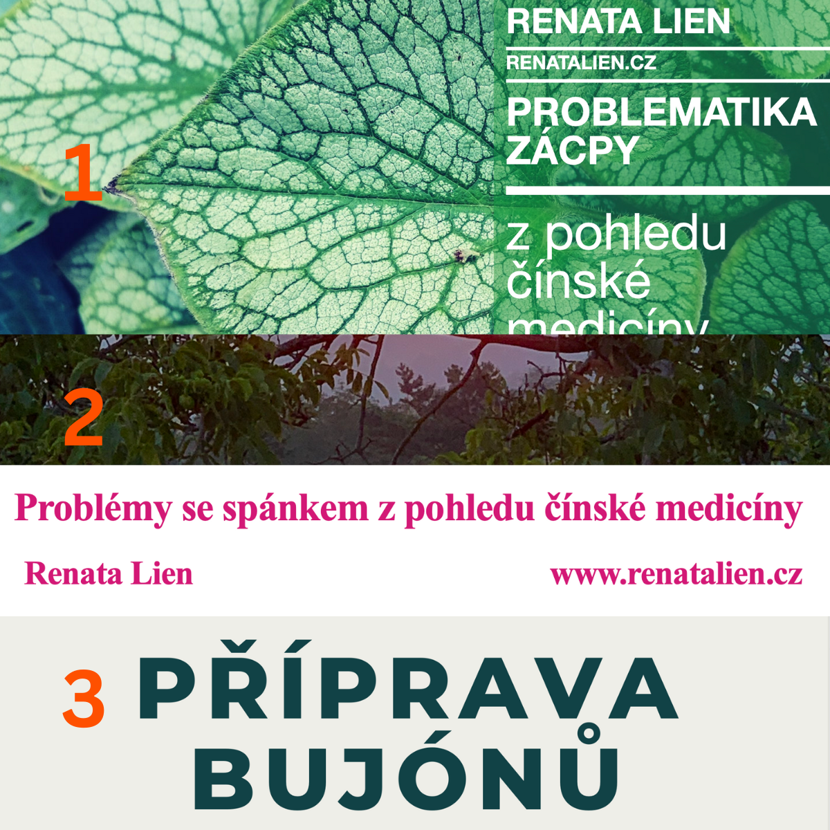 Kolekce 3 ebooků Spánek, zácpa, příprava bujónů - se slevou