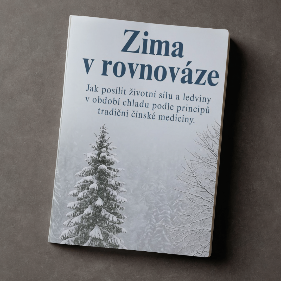 eBook Zima v rovnováze