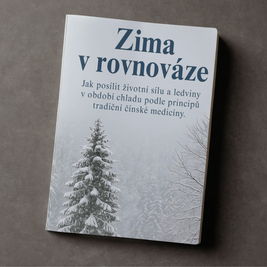 eBook Zima v rovnováze