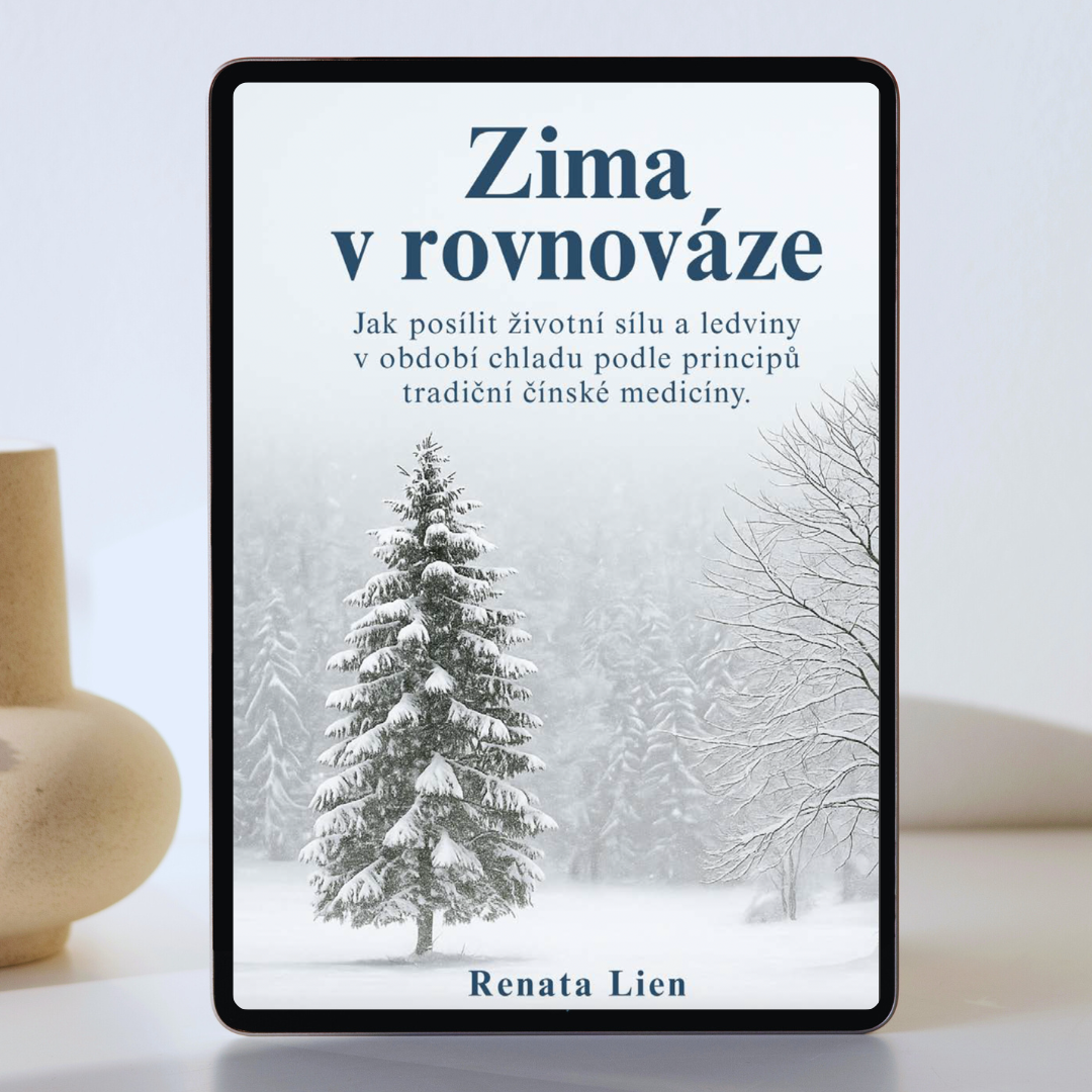 E-kniha Zima v rovnováze - posílení životní síly a ledvin