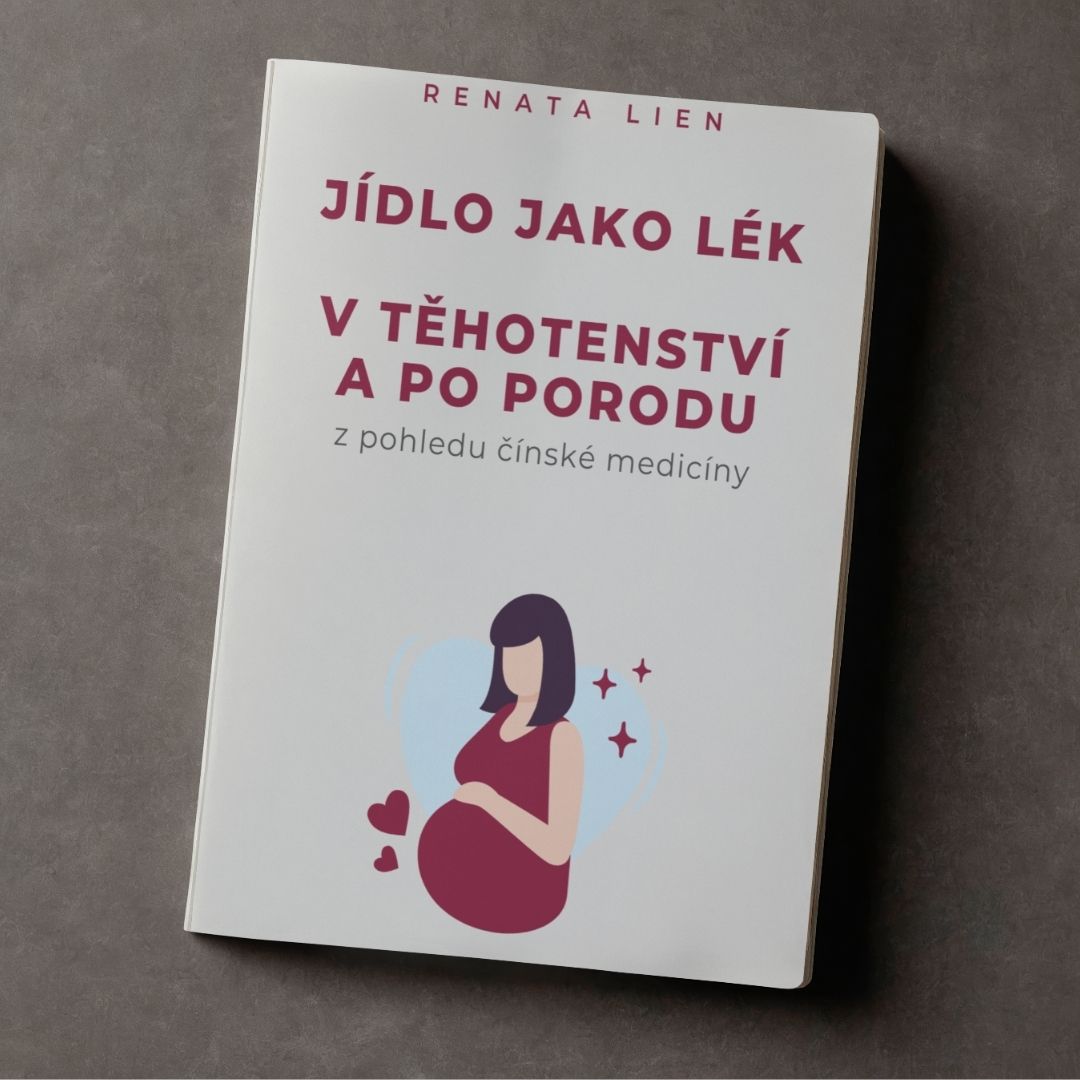 eBook - Jídlo jako lék v době těhotenství