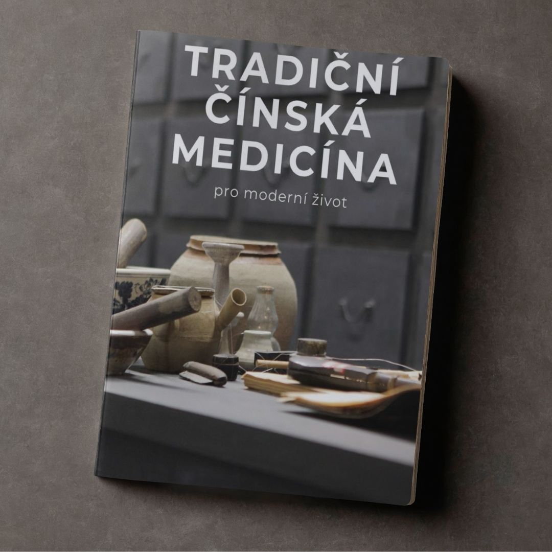 ebook Tradiční čínská medicína pro moderní život - 208 stran