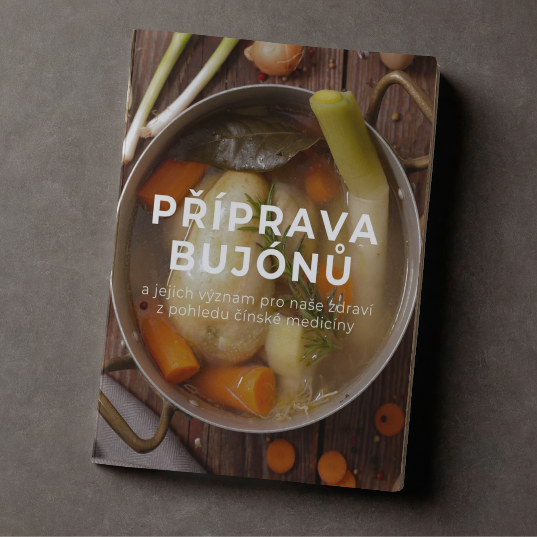 ebook Příprava bujónů a jejich význam pro naše zdraví