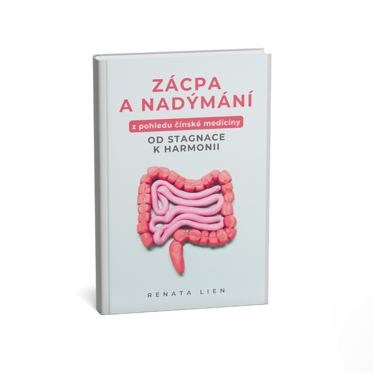 ebook Zácpa a nadýmání z pohledu čínské medicíny