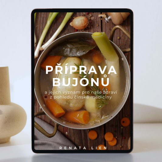 ebook Příprava bujónů a jejich význam pro naše zdraví