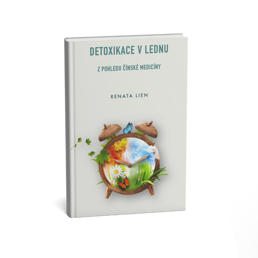 ebook Detoxikace na 30 dnů leden - 50 stran