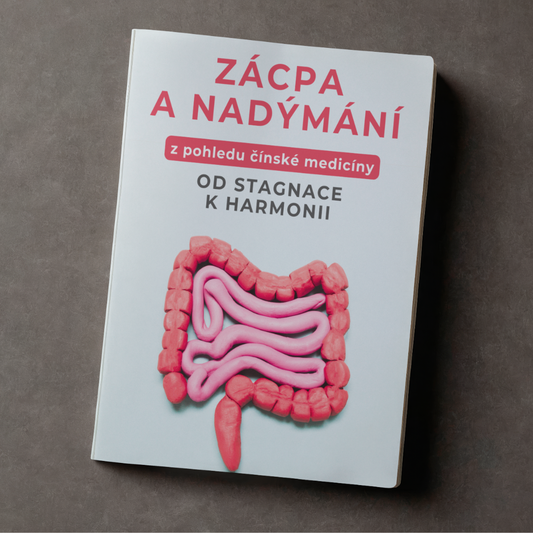 ebook Zácpa a nadýmání z pohledu čínské medicíny