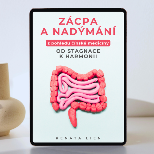 ebook Zácpa a nadýmání z pohledu čínské medicíny