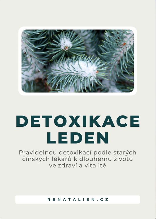 ebook Detoxikace na 30 dnů leden - 50 stran